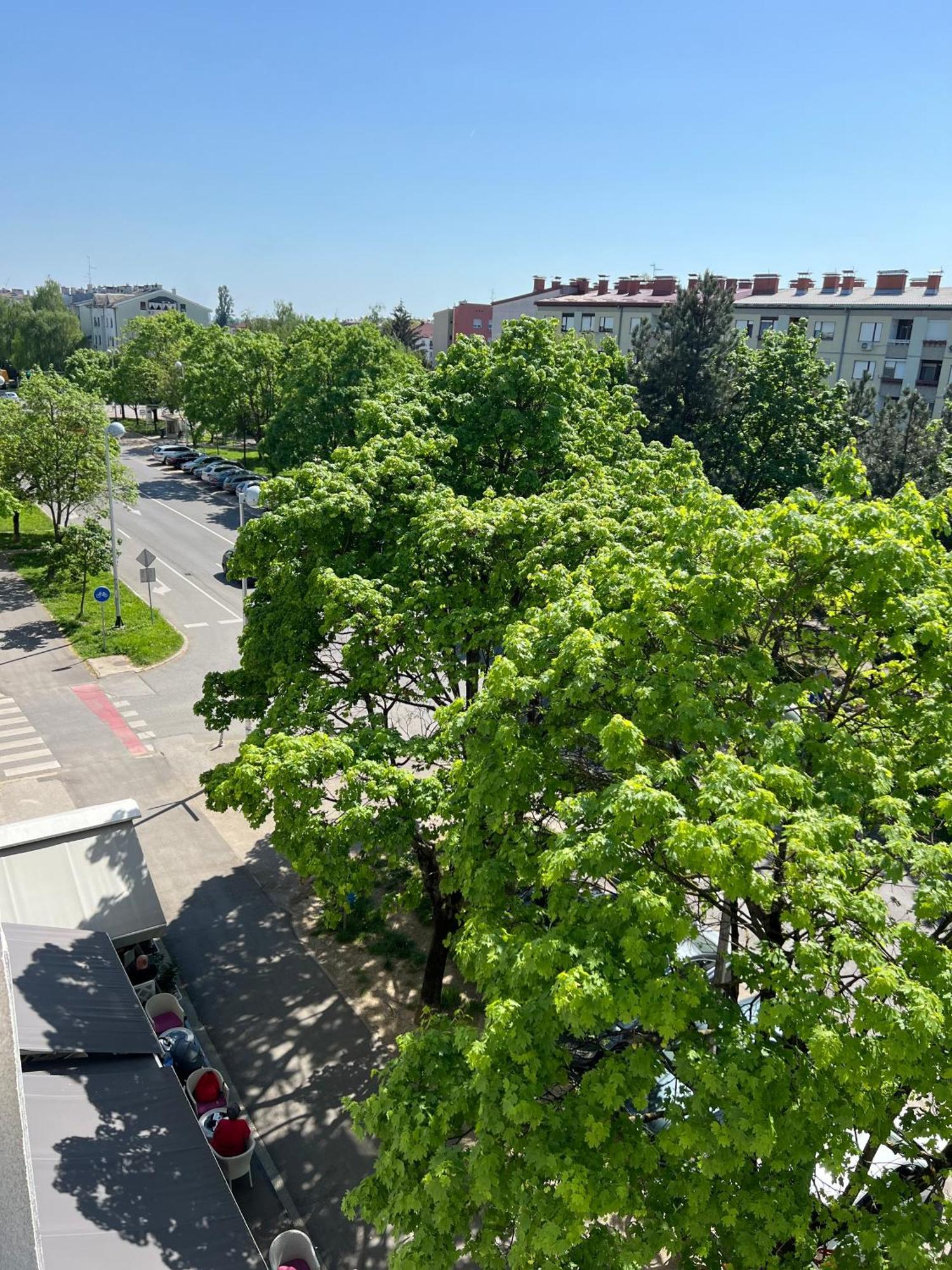Rita Apartment-Free Parking&Wifi Zagreb Exterior photo
